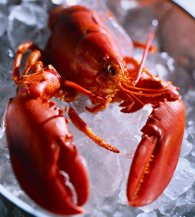Lobster_steamed2